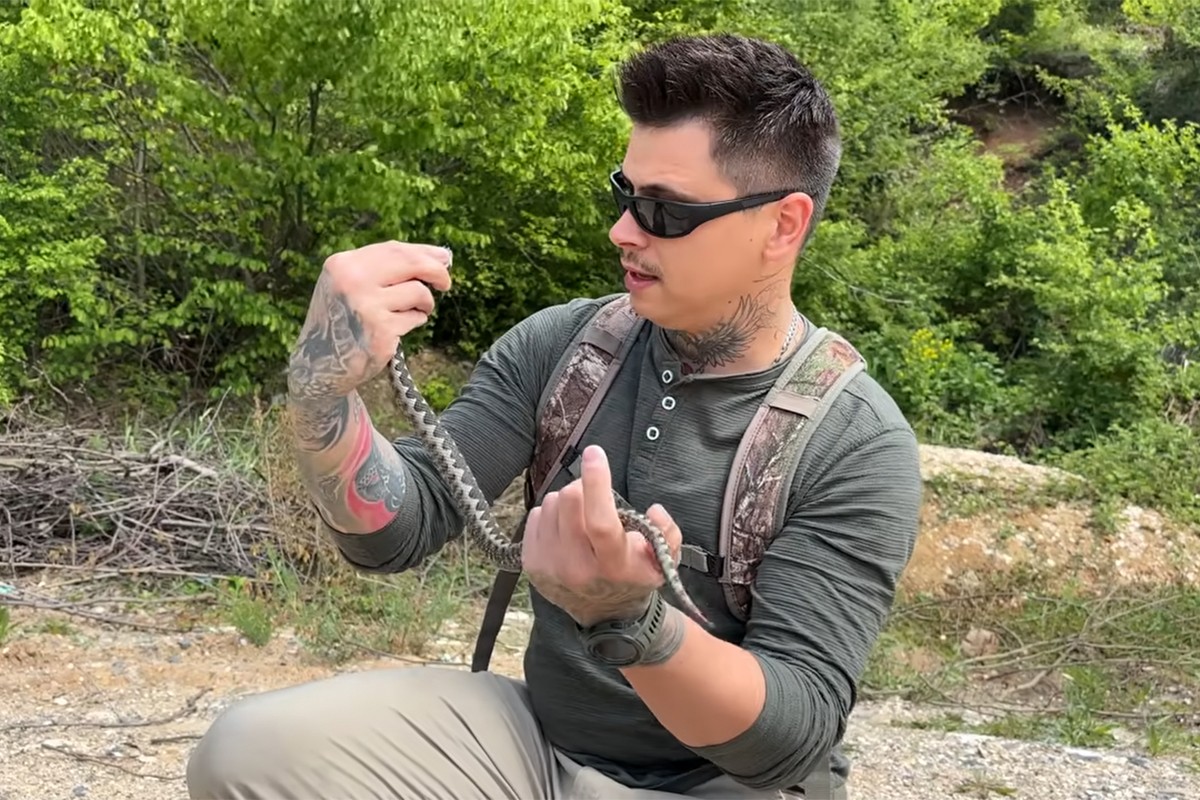 Influenser iz BiH uhvatio poskoka rukama: "Najopasnija zmija u Evropi" (VIDEO)