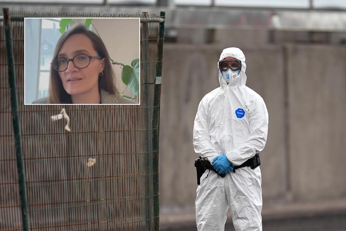 Hantavirus zabrinuo javnost: Koliko je zapravo opasan i da li prijeti Balkanu?