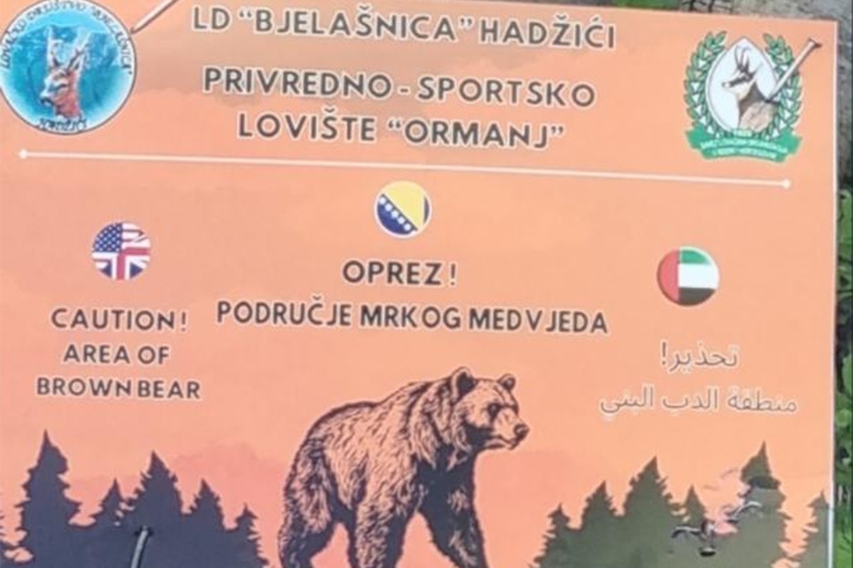Medvjed sa dva mladunčeta primijećen kod Hadžića