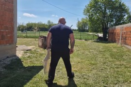 Šta je Vladica pronašao umjesto zmija: Šokirale ga rupe u zidu (VIDEO)