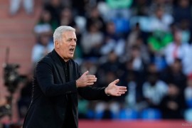 Petković: BiH prolazi grupu, Hrvati navikli na pobjede
