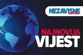 Slučaj "Ribnikar": Miljana osuđena na 2 godine i 11 mjeseci, Vladimir na 14 i po godina zatvora