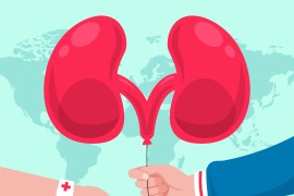 FZO RS objavio Vodič kroz prava: Kako do transplantacije bubrega u ...