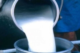 Isplaćena premija za mlijeko za mart