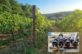 Banjalučka biskupijska zadruga prodaje vino kako bi opstala