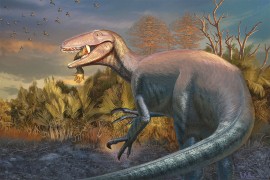 Prva kost dinosaurusa sa Antarktika pronađena u fioci poslije 40 godina