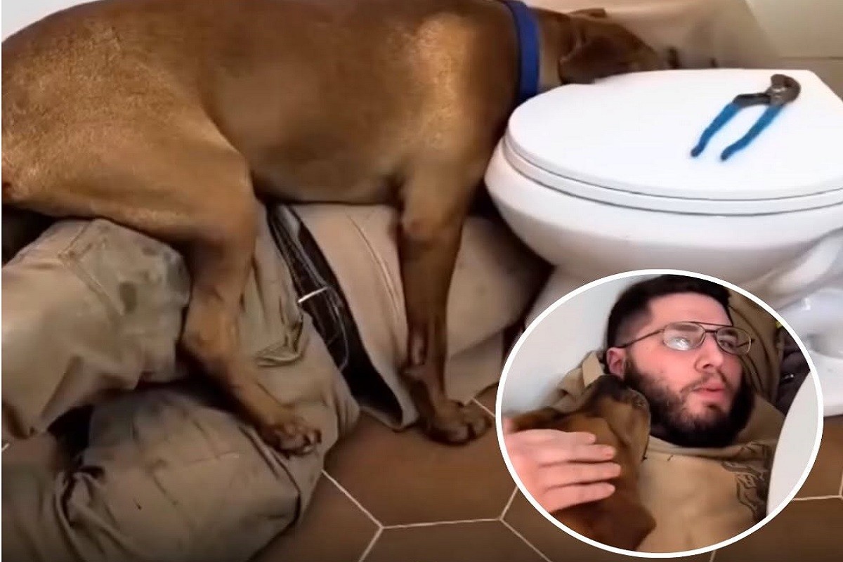 Pos'o je težak, al' je pomoćnik zainteresovan (VIDEO)