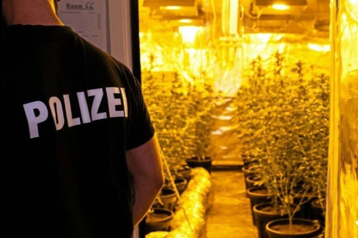 “Baštovan” iz BiH osuđen na dvije godine