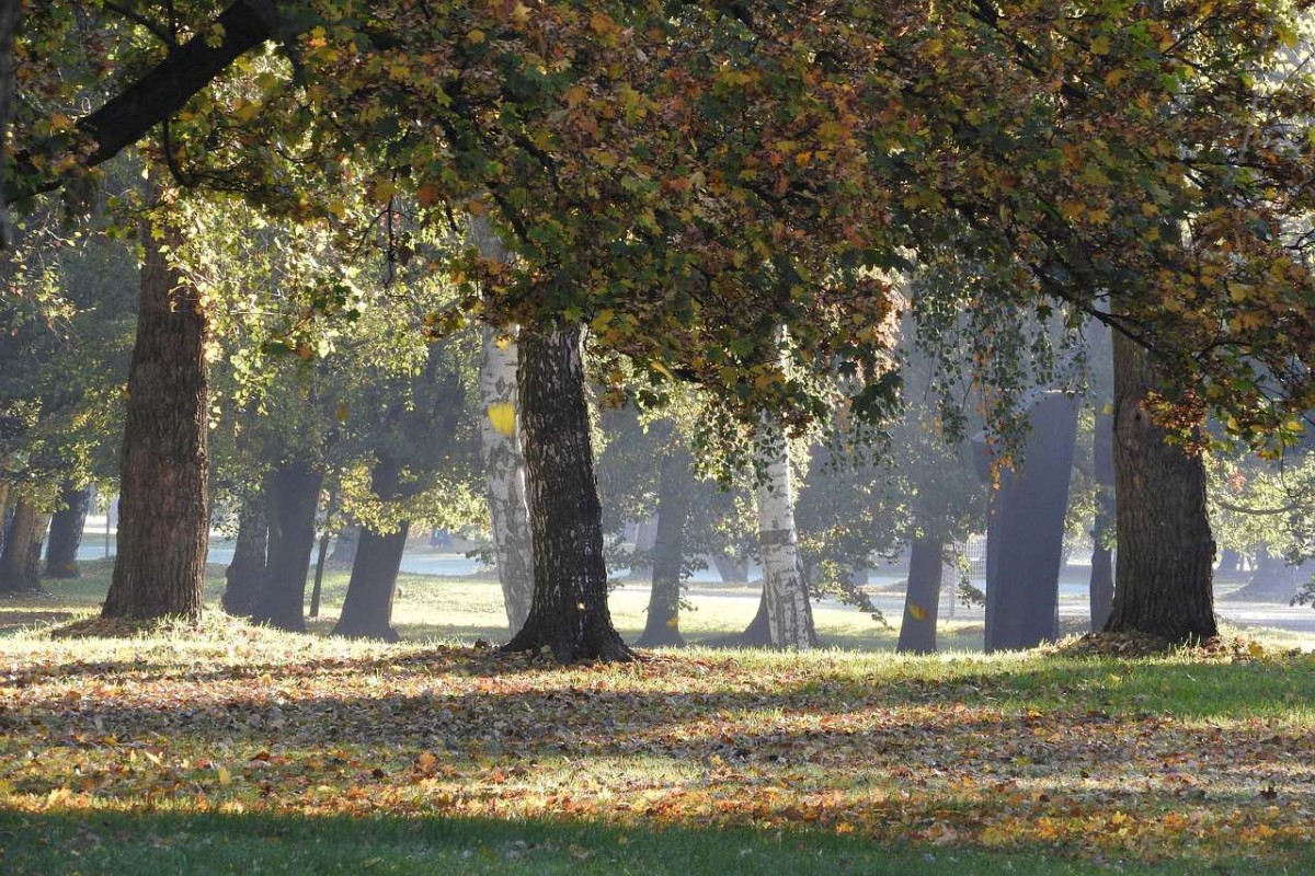 Srednjoškolke našle lobanju iz 14. vijeka