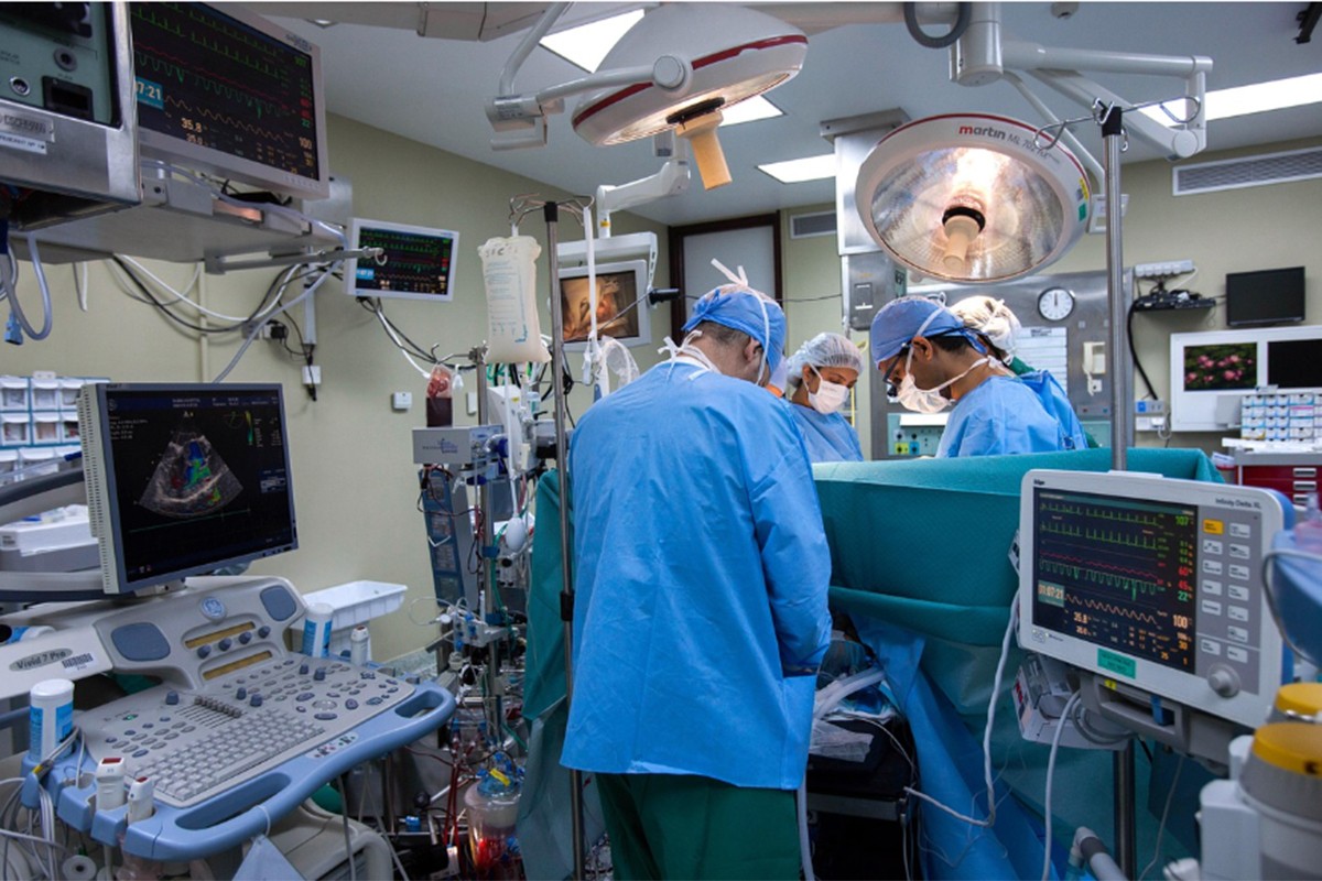 Revolucija u medicini: Čovjeku prvi put presađeni jetra i bubrezi svinje