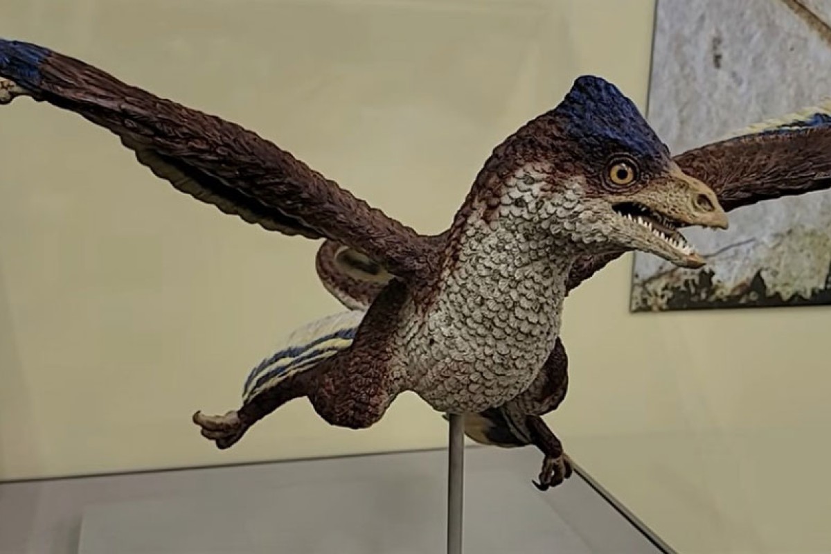 Dinosaurus sa četiri krila zbunio naučnike (VIDEO)