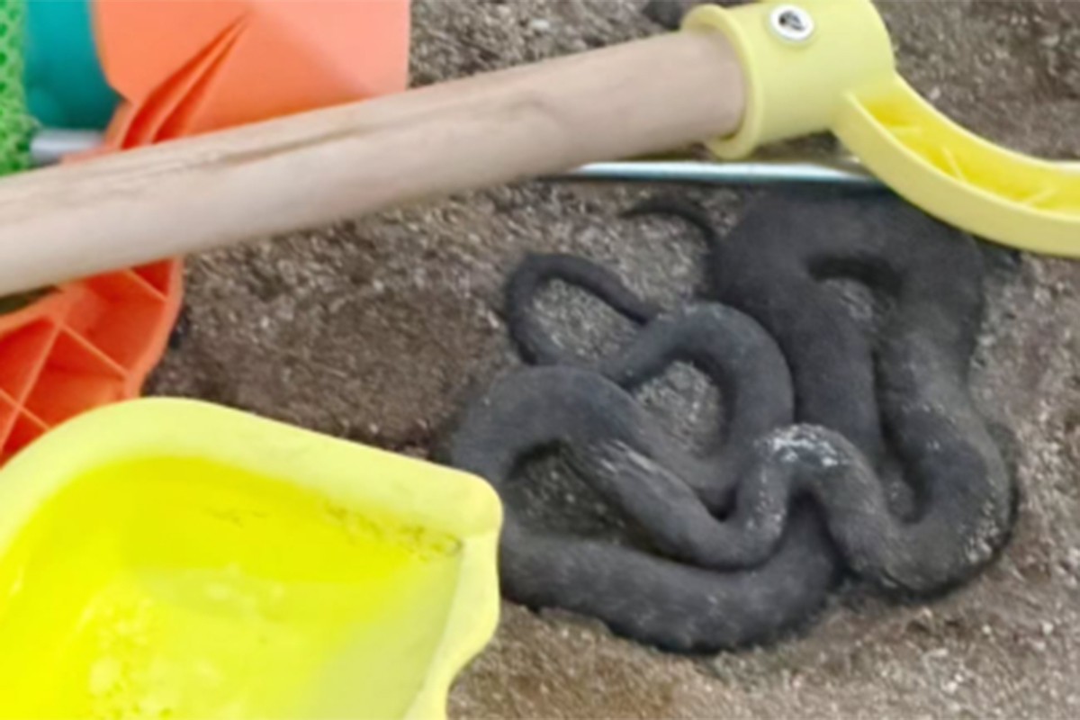 Zmija među dječjim igračkama na crnogorskoj plaži