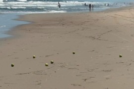 Misteriozne jabuke se pojavile na plažu (FOTO)