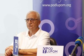Šehić: Partije krive za mali broj registrovanih birača iz dijaspore
