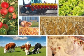 Poziv poljoprivrednicima za dodjelu subvencija