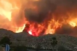 Tragedija u Španiji: Najmanje 12 poginulih u požaru, evakuisano 1.000 ...