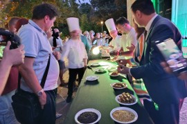 Gradonačelnik, ministar i ambasadorka u Trebinju spremali italijanske ...