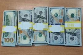 Amerikanac na granici s BiH nije prijavio 50.000 dolara, kažnjen sa ...