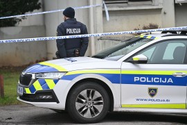 Mediji: Zločinu koji je potresao Sloveniju i BiH svjedočio maloljetni ...