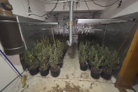 Hapšenje u akciji "Šibica", pronađene tri laboratorije i droga