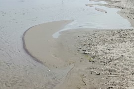 Nevjerovatan prizor na Dunavu: Autom stigao do Vukovarske ade (FOTO)
