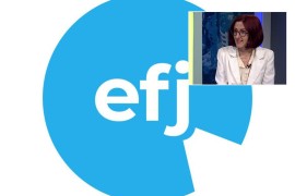 EFJ podržao BH novinare i Anisu Mahmutović, pozvao Opštinski sud u ...