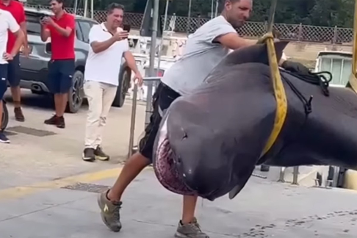 Ajkula od četiri metra pronađena mrtva na plaži u italijanskom ljetovalištu (VIDEO)