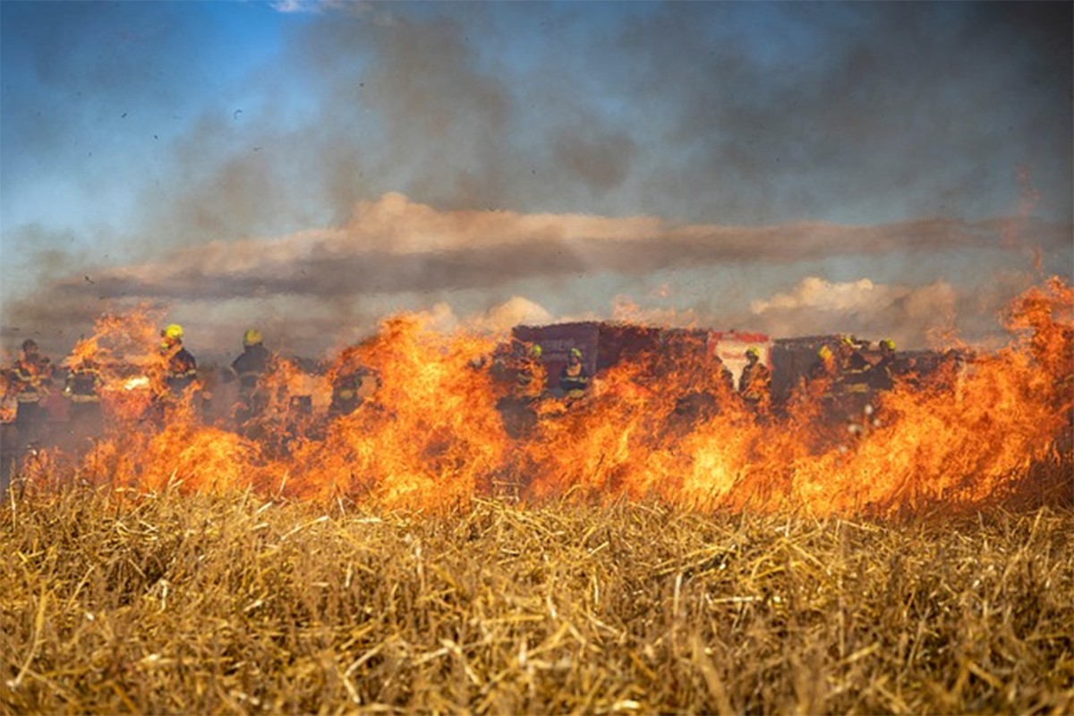 Požar kod Modriče, izgorjela pšenica