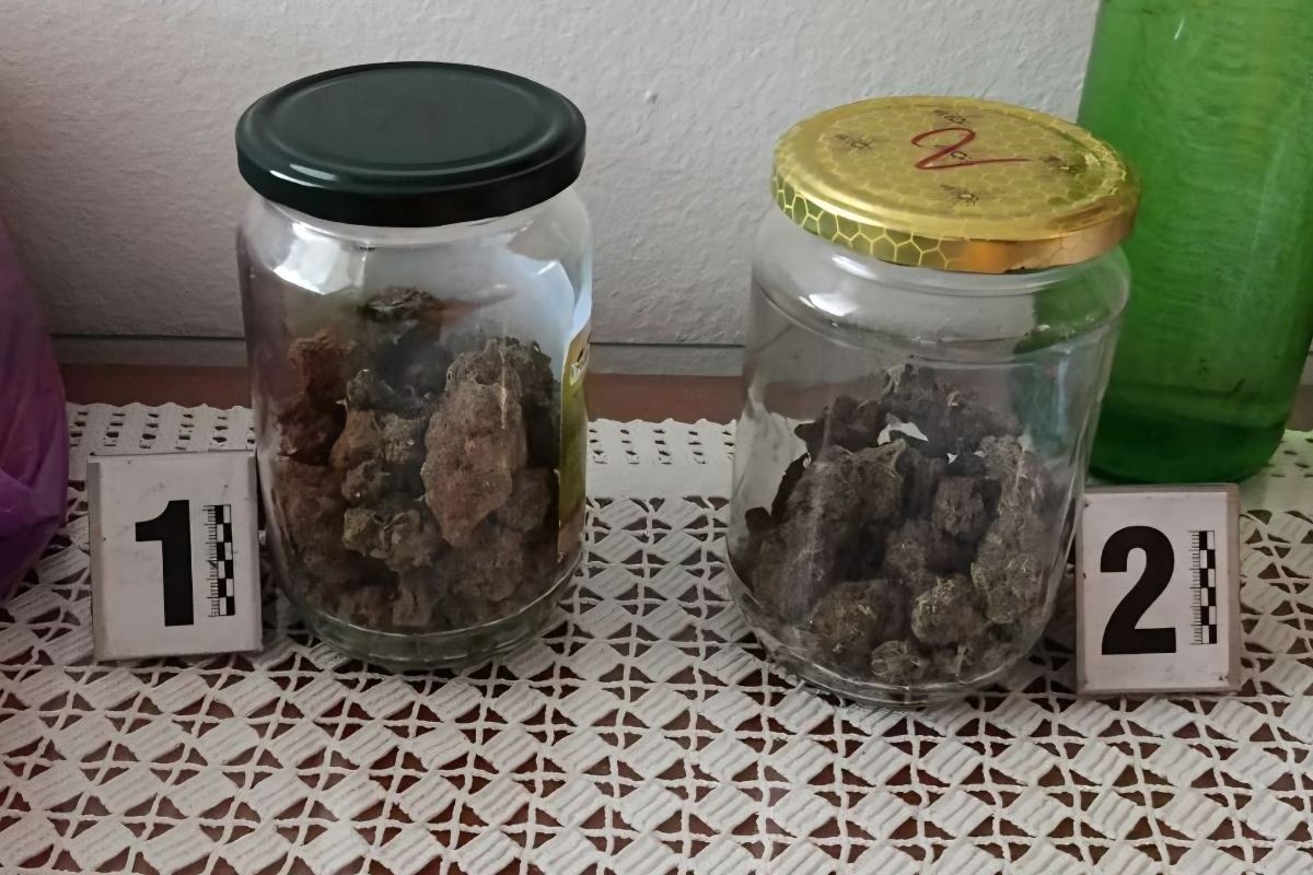 Dvojac uhapšen u akciji "Pumba" u Banjaluci, zaplijenjena droga