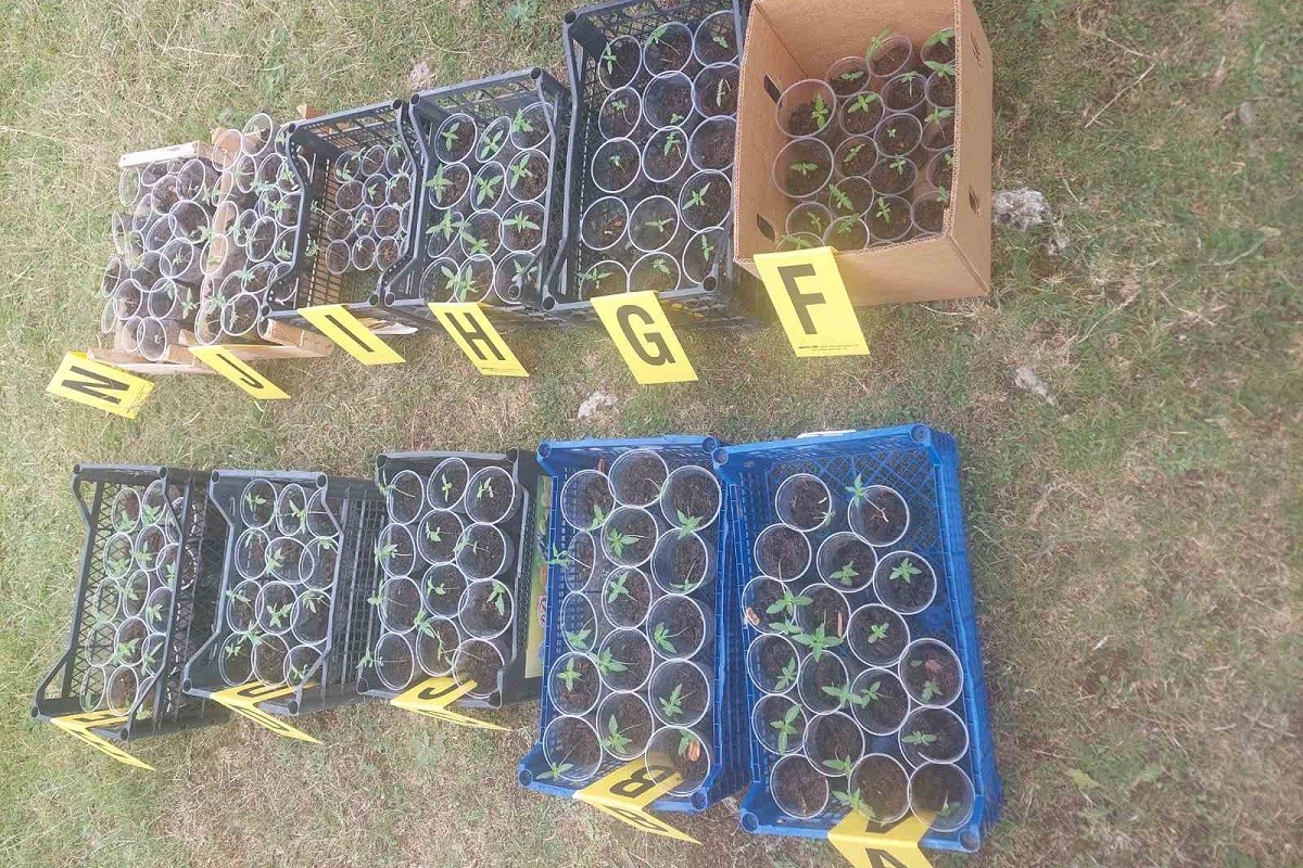 Opsadno stanje u Kneževu: Prijetnje dovele žandarmeriju do droge