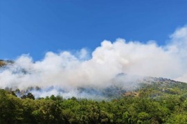 Četiri veća požara u Srbiji: Borba sa vatrom u Deliblatskoj peščari
