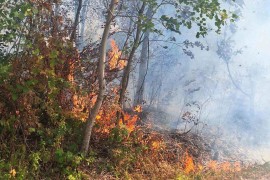 Više požara u Banjaluci: Gorjeli šuma, nisko rastinje i livade
