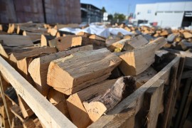 Bagrem, bukva, grab ili hrast, koje drvo najbolje grije kuću?