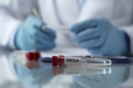 Ebola odnosi život svakih 30 minuta, vakcine još nema