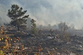 Vatrogasci tokom noći ugasili dva kraka požara na Trebeviću ...