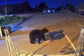 Medo bi da bude vatrogasac, a može i lopov (VIDEO)