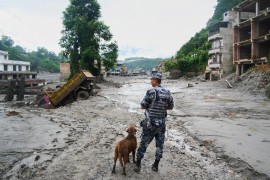 Osmogodišnji Zojal preživio stravične poplave: Pobjegao u šumu i ...