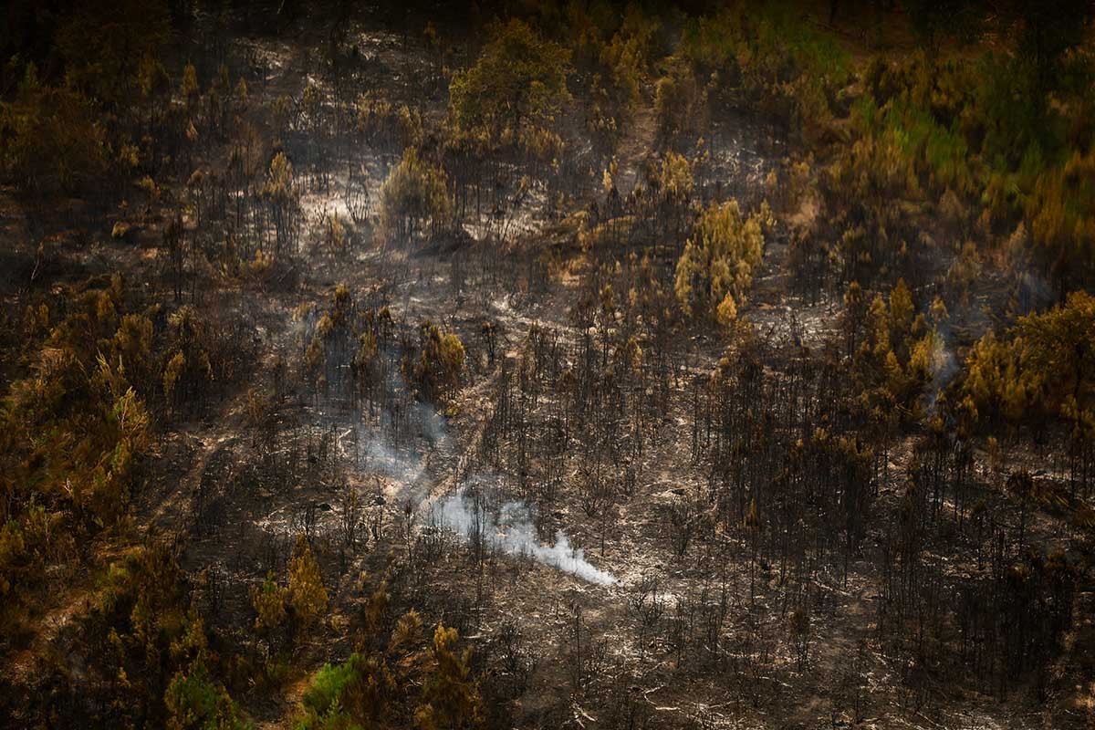 Gotovo 200.000 ljudi se vratilo kućama nakon požara