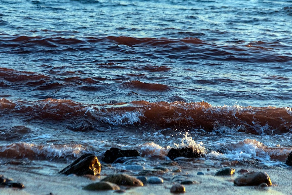 Na plaži u Hrvatskoj pronađena ešerihija koli