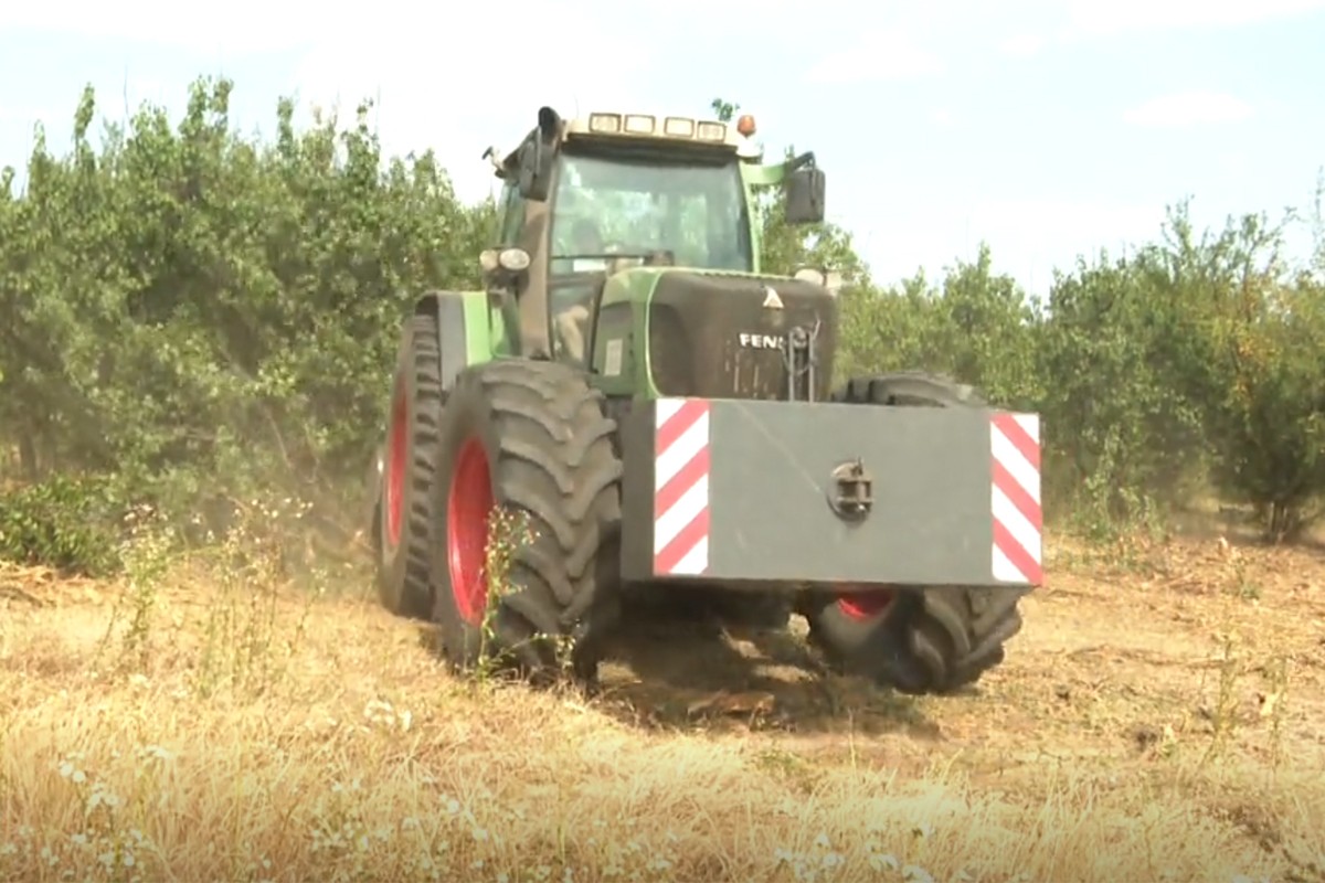 Hrvatski voćari propadaju, krče nasade