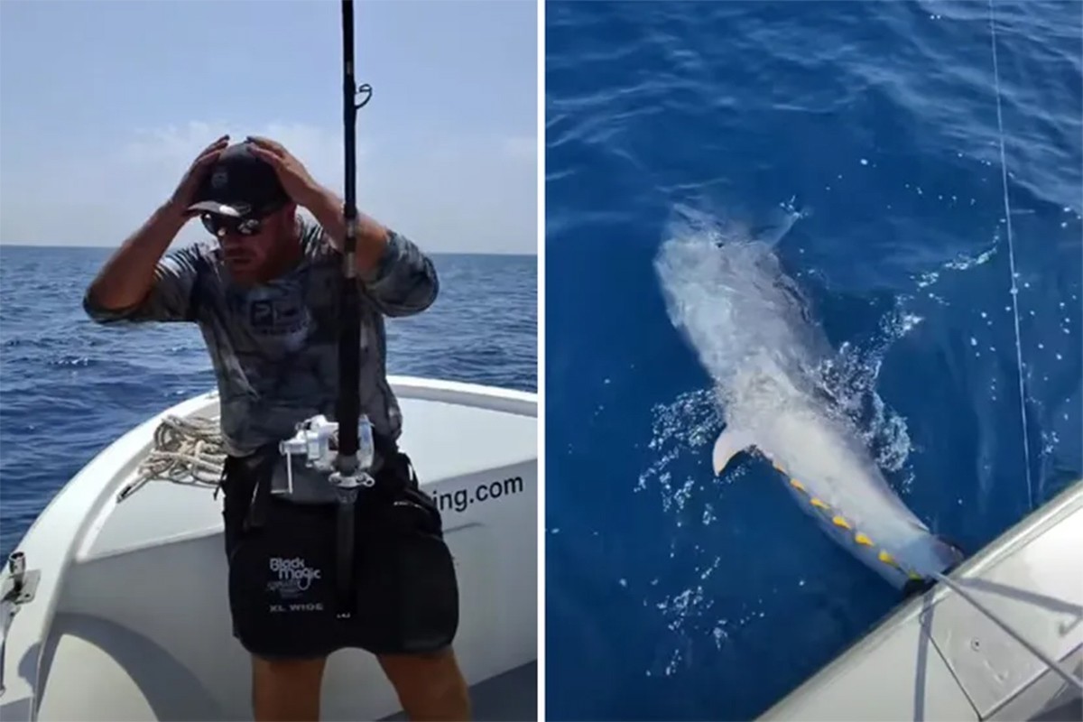 Nisu vjerovali šta se zakačilo za udicu: Braća izvukla tunu tešku 230 kilograma (VIDEO)