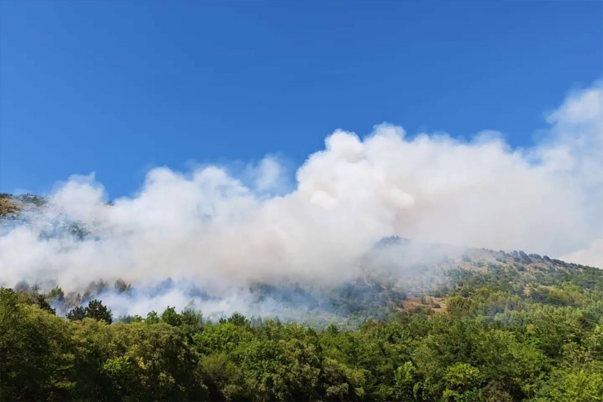 Četiri veća požara u Srbiji: Borba sa vatrom u Deliblatskoj peščari