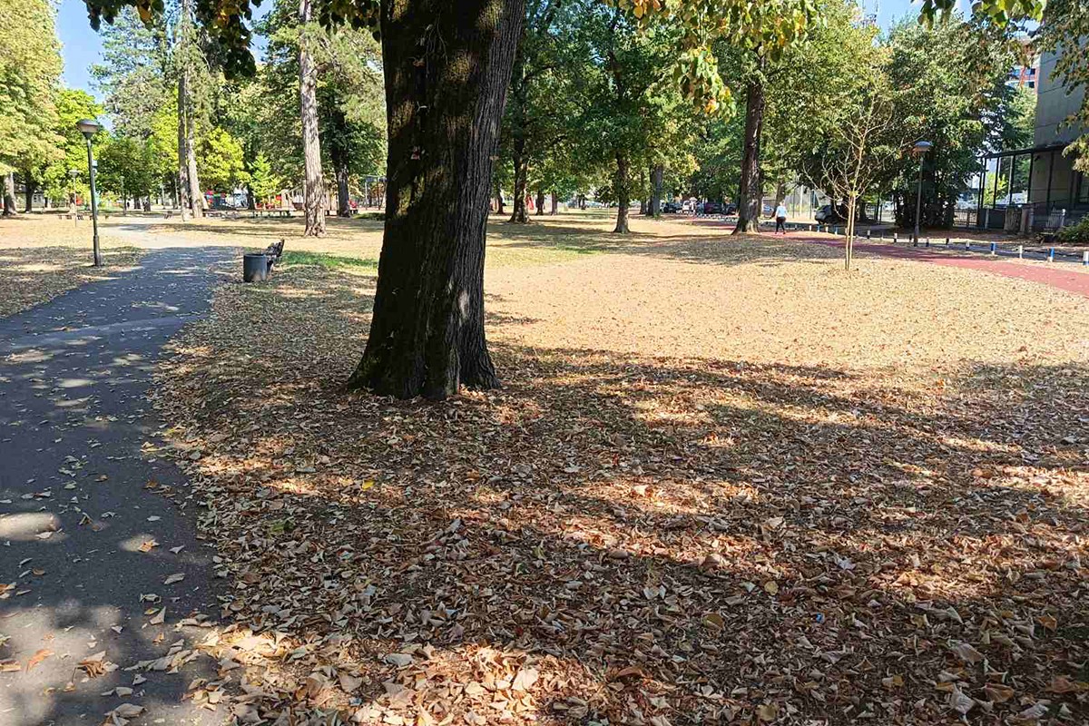 Banjaluka usred ljeta izgleda kao u kasnu jesen: Vrućine uzele danak (FOTO)