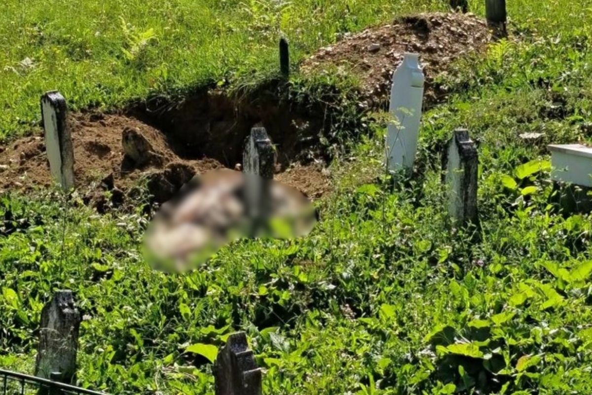 Šok u Travniku: Medvjed raskopao grob