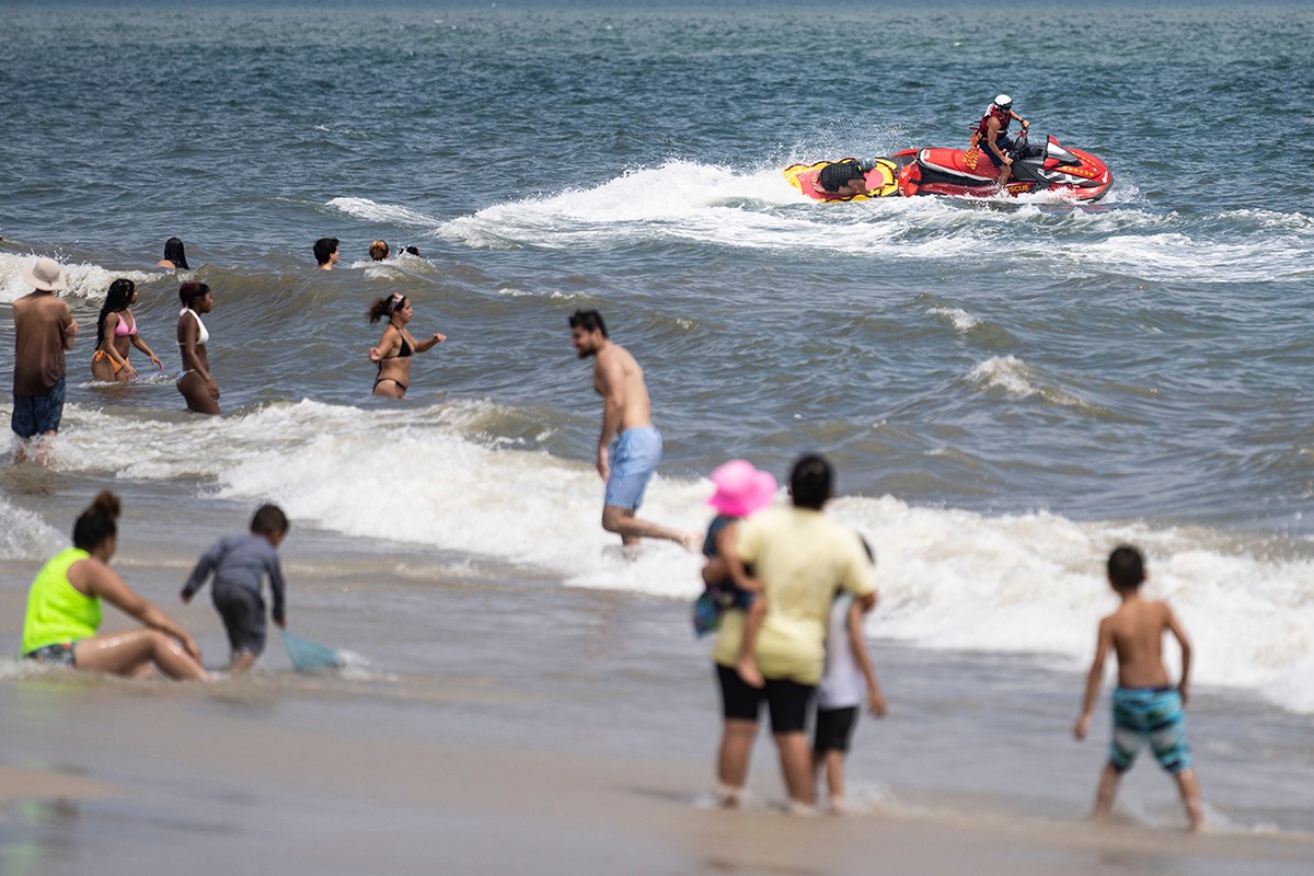 Skoro 30 mrtvih ajkula pronađeno na plaži u Nju Džerziju (VIDEO)