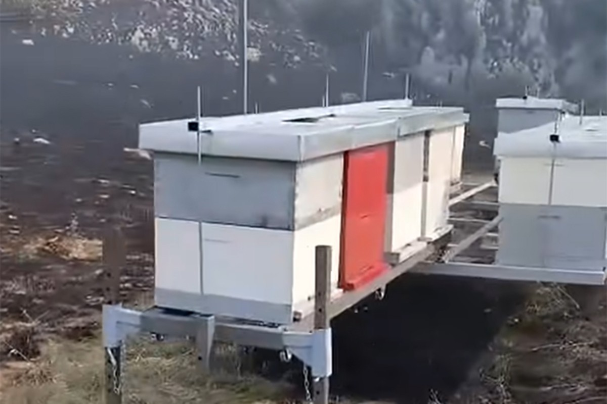 Teška noć na Ljubuši: Vatra poharala pčelinjake, stradale desetine košnica (VIDEO)