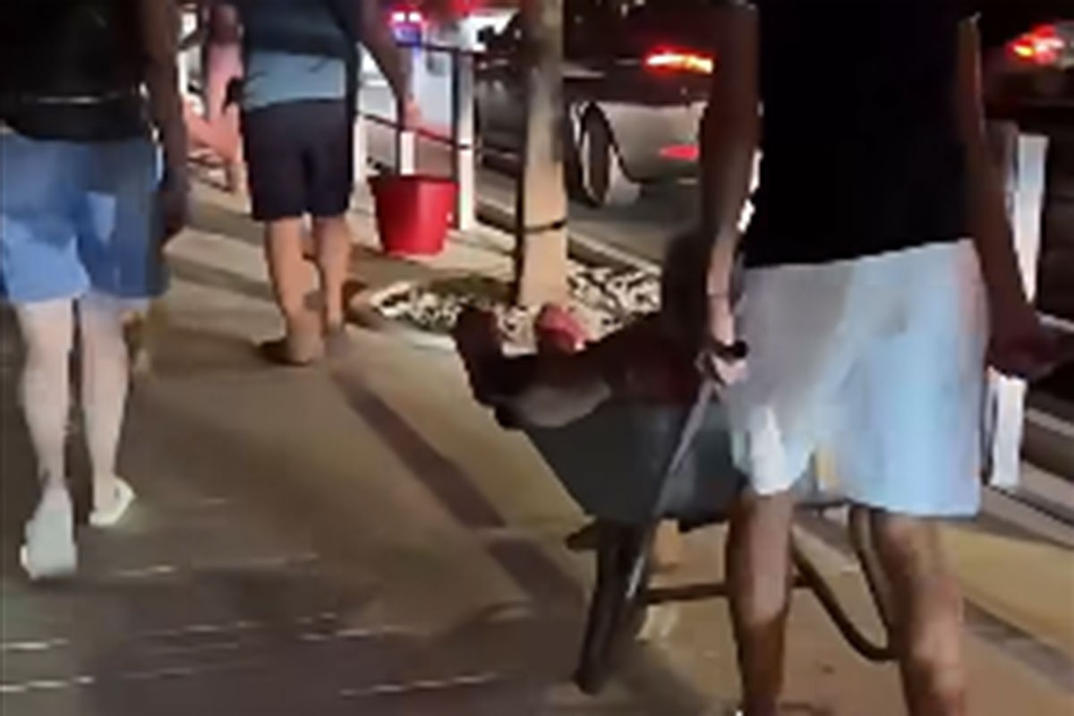 Unuk spasio baku od požara u Omišu, vozio je u tačkama (VIDEO)