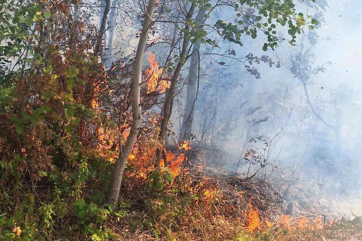 Gorjeli šuma kuća i vikendica u Šekovićima