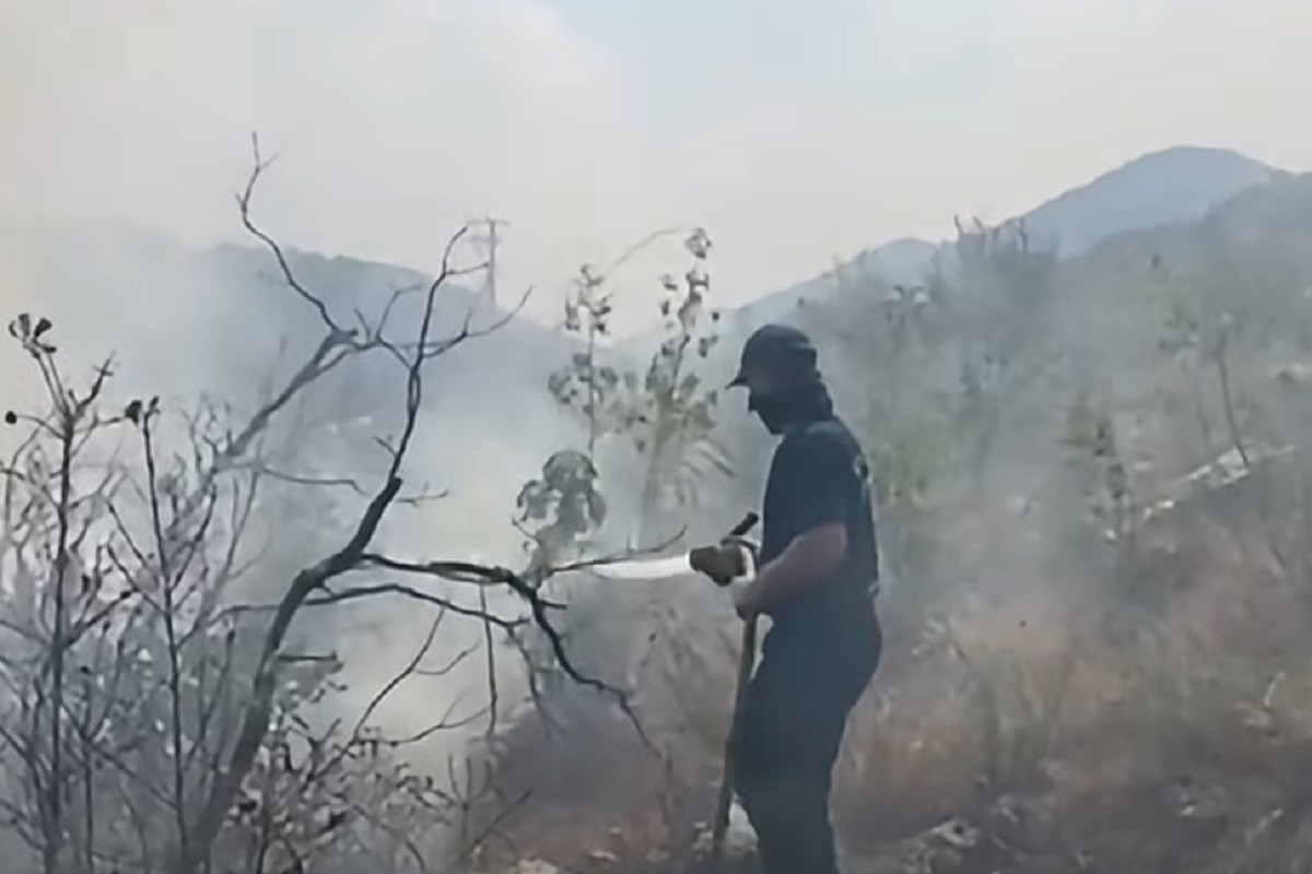 Heroj iz Trebinja: Coka sa osmijehom ide pravo u vatru (VIDEO)