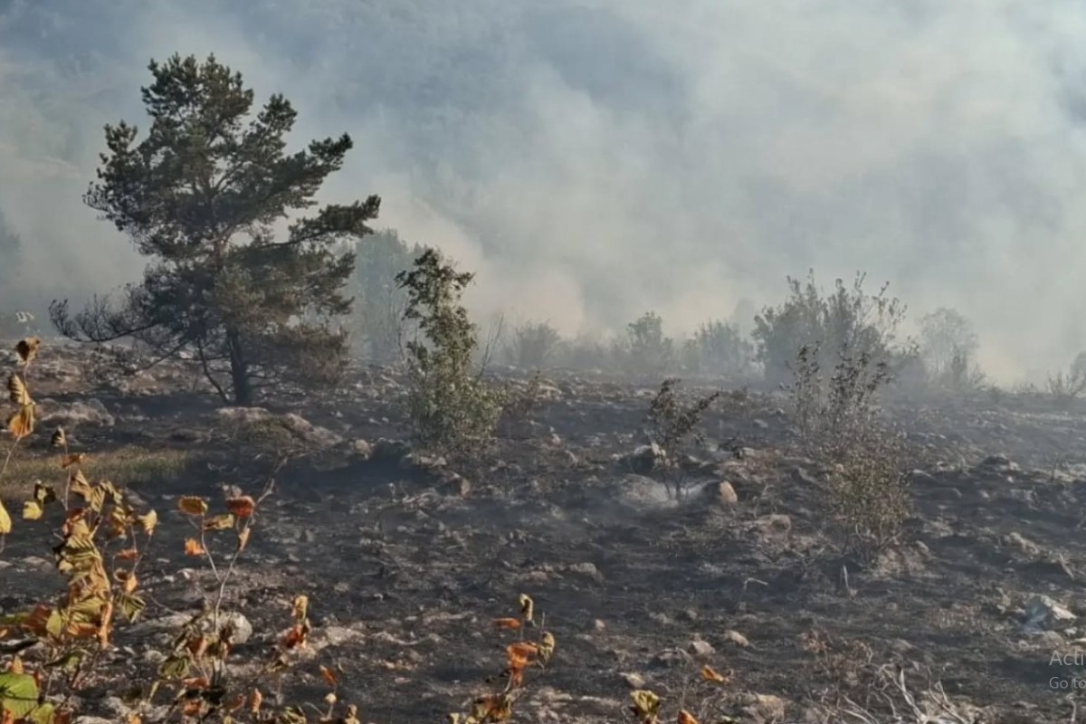 Vatrogasci tokom noći ugasili dva kraka požara na Trebeviću, objavljene fotografije